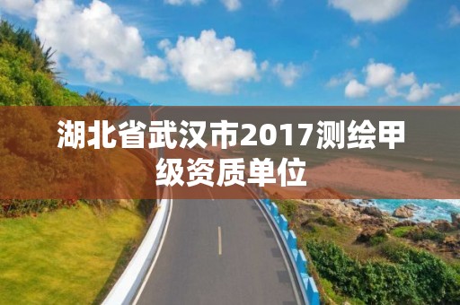 湖北省武汉市2017测绘甲级资质单位