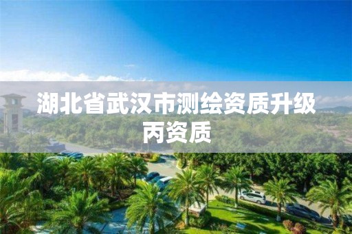 湖北省武汉市测绘资质升级丙资质