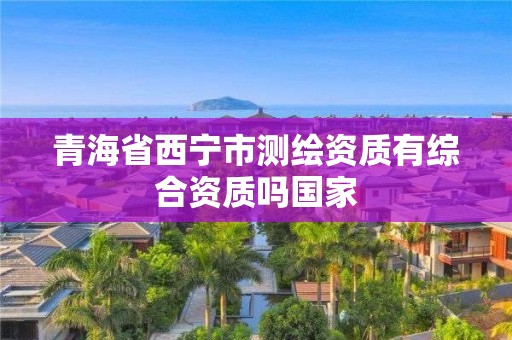 青海省西宁市测绘资质有综合资质吗国家