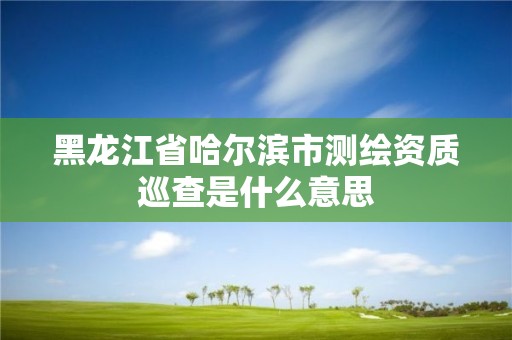 黑龙江省哈尔滨市测绘资质巡查是什么意思