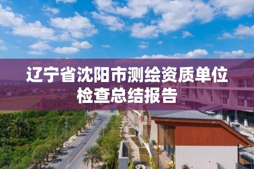 辽宁省沈阳市测绘资质单位检查总结报告