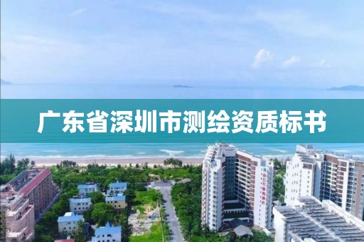 广东省深圳市测绘资质标书