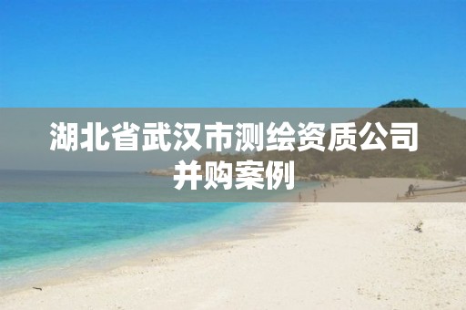 湖北省武汉市测绘资质公司并购案例