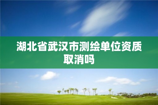 湖北省武汉市测绘单位资质取消吗