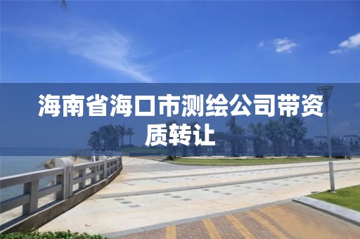 海南省海口市测绘公司带资质转让