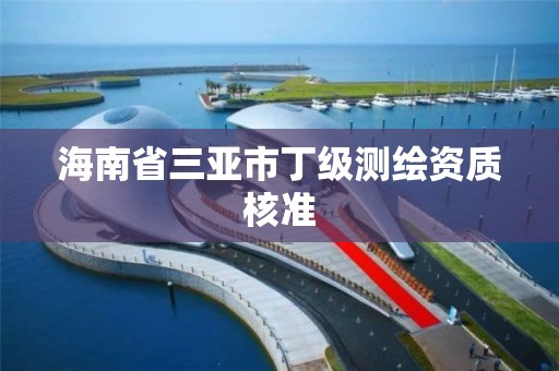 海南省三亚市丁级测绘资质核准