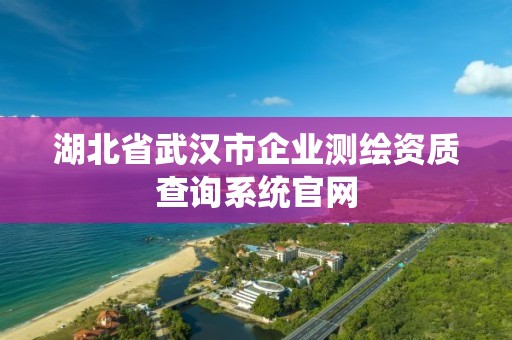 湖北省武汉市企业测绘资质查询系统官网