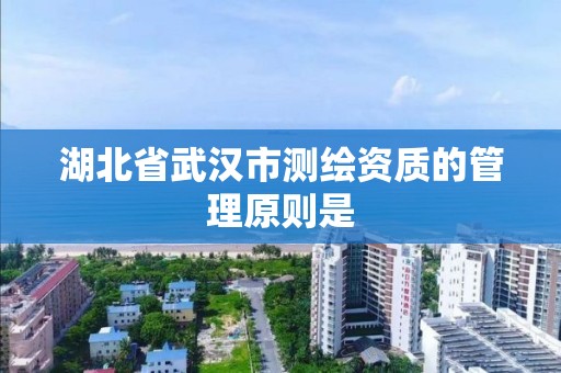 湖北省武汉市测绘资质的管理原则是