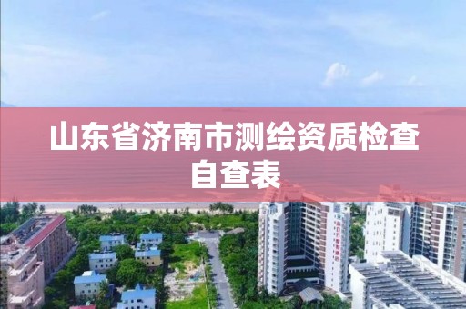 山东省济南市测绘资质检查自查表