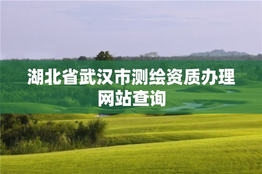 湖北省武汉市测绘资质办理网站查询