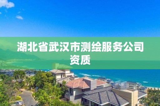 湖北省武汉市测绘服务公司资质