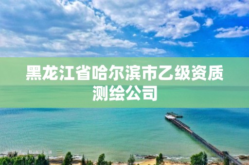 黑龙江省哈尔滨市乙级资质测绘公司 黑龙江省哈尔滨市乙级资质测绘公司