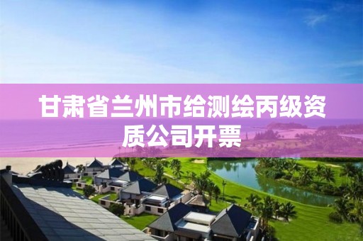 甘肃省兰州市给测绘丙级资质公司开票