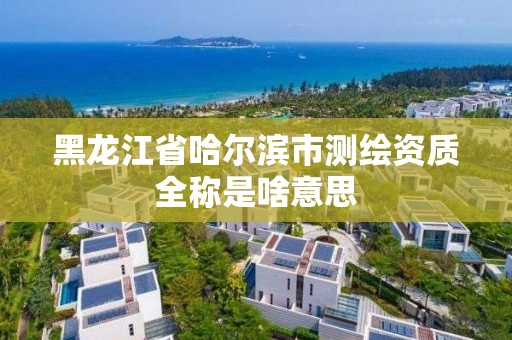 黑龙江省哈尔滨市测绘资质全称是啥意思