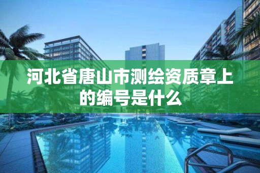 河北省唐山市测绘资质章上的编号是什么