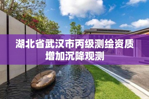 湖北省武汉市丙级测绘资质增加沉降观测