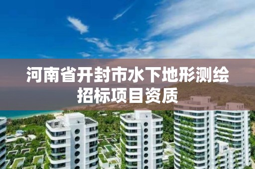 河南省开封市水下地形测绘招标项目资质