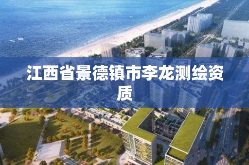 江西省景德镇市李龙测绘资质