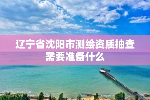 辽宁省沈阳市测绘资质抽查需要准备什么