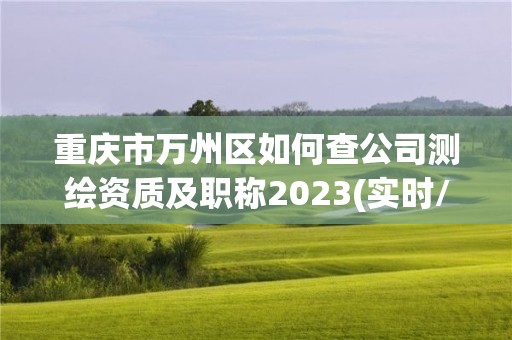 重庆市万州区如何查公司测绘资质及职称2023(实时/更新中)