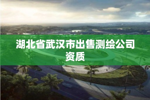 湖北省武汉市出售测绘公司资质