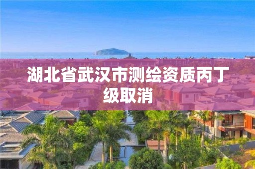 湖北省武汉市测绘资质丙丁级取消