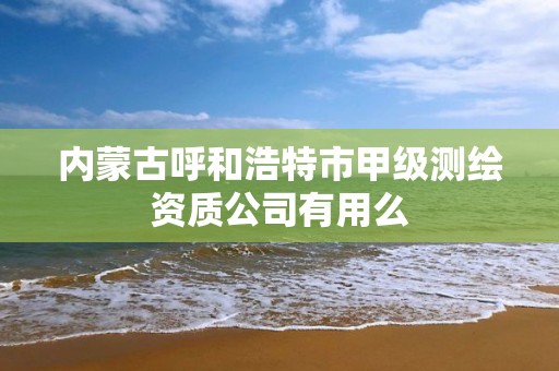 内蒙古呼和浩特市甲级测绘资质公司有用么