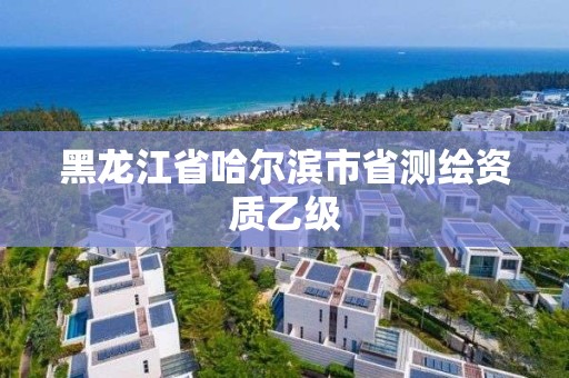 黑龙江省哈尔滨市省测绘资质乙级