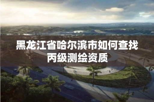 黑龙江省哈尔滨市如何查找丙级测绘资质