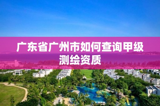 广东省广州市如何查询甲级测绘资质