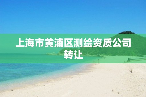 上海市黄浦区测绘资质公司转让