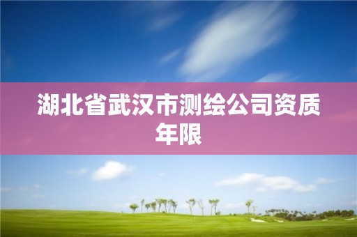 湖北省武汉市测绘公司资质年限