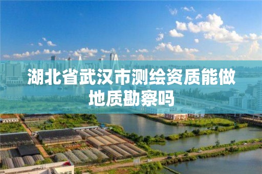 湖北省武汉市测绘资质能做地质勘察吗