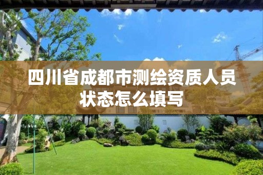 四川省成都市测绘资质人员状态怎么填写