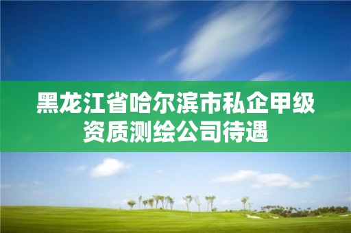 黑龙江省哈尔滨市私企甲级资质测绘公司待遇