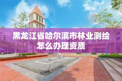 黑龙江省哈尔滨市林业测绘怎么办理资质