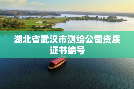 湖北省武汉市测绘公司资质证书编号