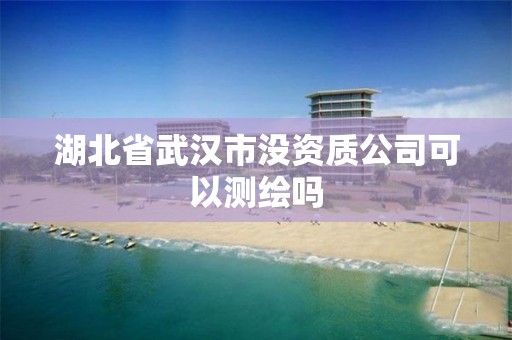 湖北省武汉市没资质公司可以测绘吗