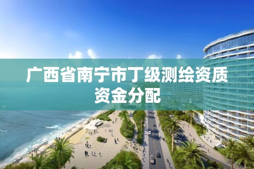 广西省南宁市丁级测绘资质资金分配