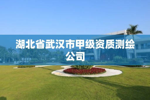 湖北省武汉市甲级资质测绘公司