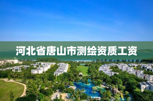 河北省唐山市测绘资质工资