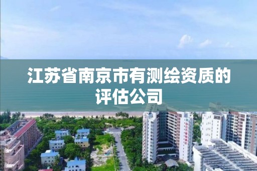 江苏省南京市有测绘资质的评估公司