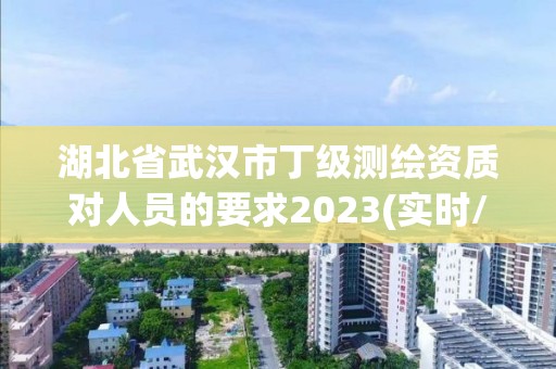 湖北省武汉市丁级测绘资质对人员的要求2023(实时/更新中)