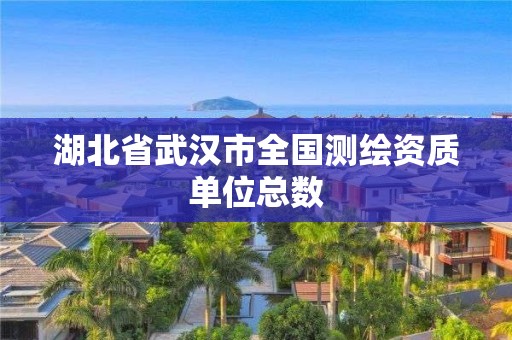 湖北省武汉市全国测绘资质单位总数