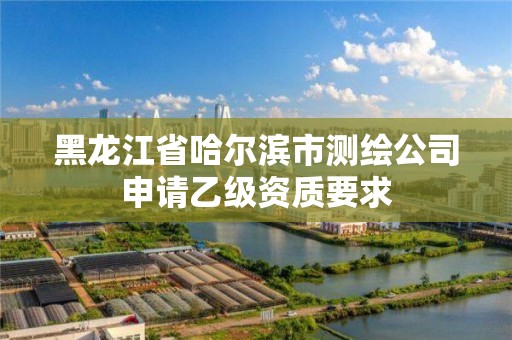 黑龙江省哈尔滨市测绘公司申请乙级资质要求