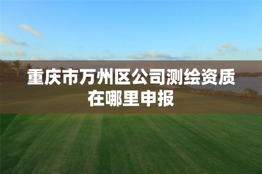 重庆市万州区公司测绘资质在哪里申报