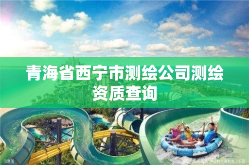 青海省西宁市测绘公司测绘资质查询