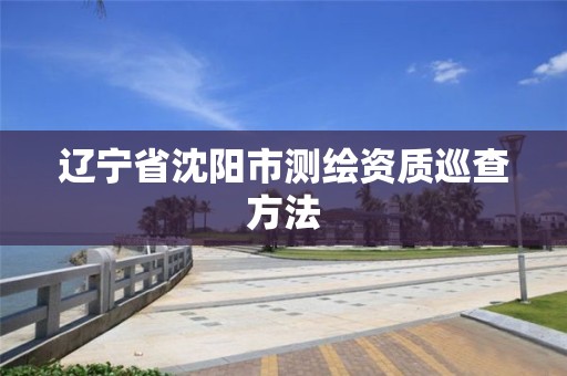 辽宁省沈阳市测绘资质巡查方法