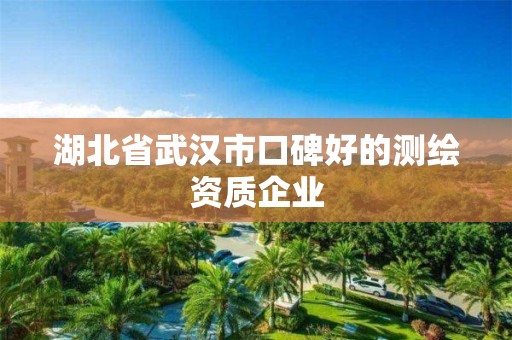 湖北省武汉市口碑好的测绘资质企业