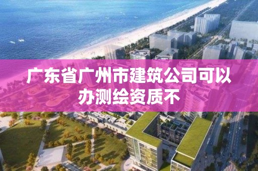 广东省广州市建筑公司可以办测绘资质不